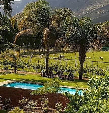 Long Acres Cottages Montagu Luaran gambar